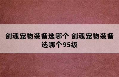 剑魂宠物装备选哪个 剑魂宠物装备选哪个95级